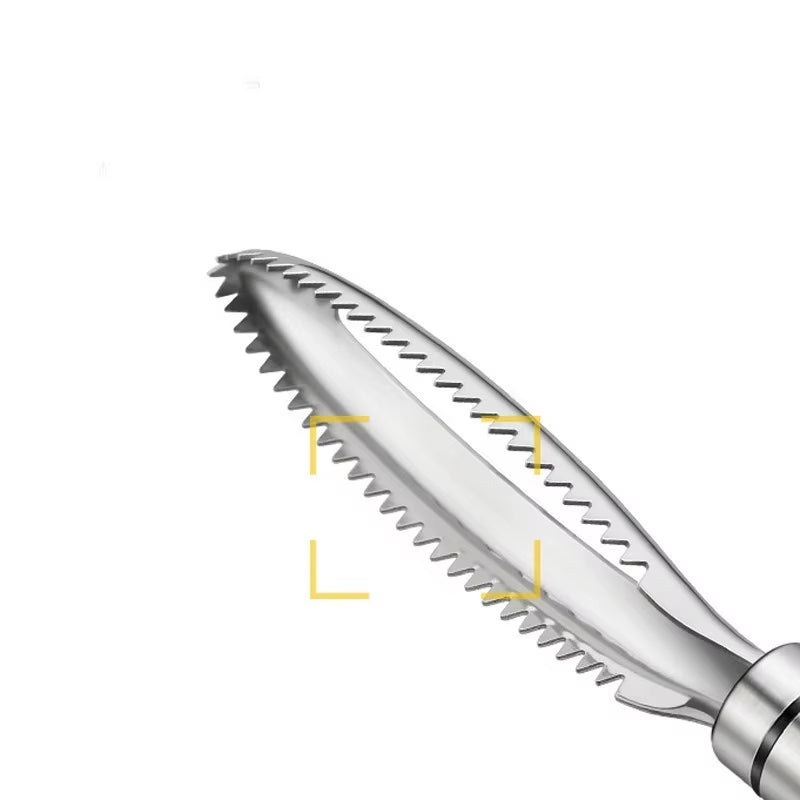 Stainless Fish Scales Scraping Graters Fast Remove Cleaning Peeler Scraper Bone Tweezers Tool Gadge Kitchen Accessorie Gadgets