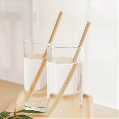10Pcs Natural Bamboo Straw Reusable Drinking Straws with Case Biodegradable Eco-Friendly Bamboo Straws for Cocktail Bar Drinks